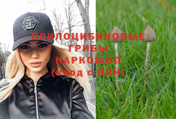 mdpv Нефтекумск