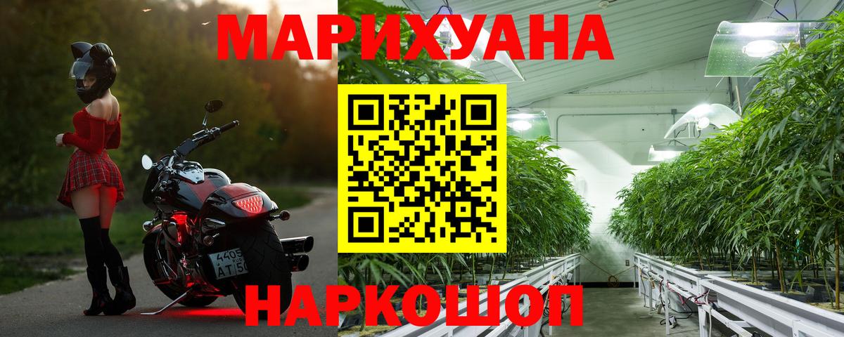 Бошки марихуана план Белореченск